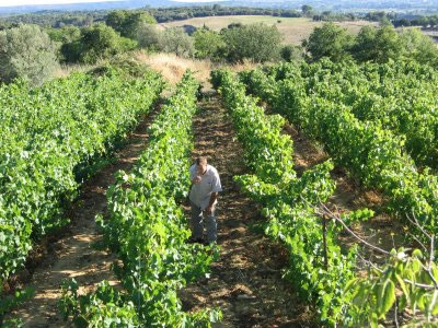 domaine coston